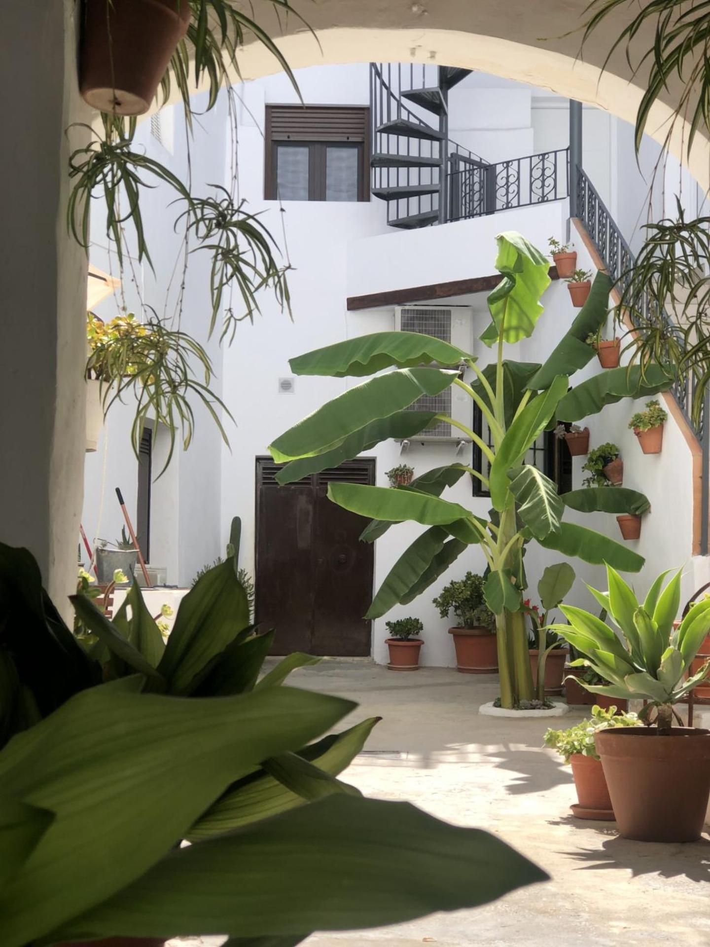 Appartement Loft La Abuela à Vejer de la Frontera Extérieur photo